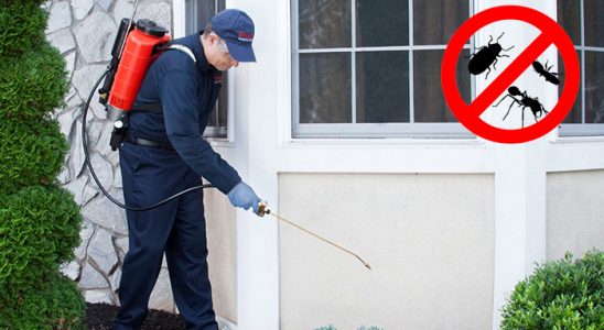 Taraklı Bit İlaçlama böcek ilaçlama ve haşere kontrolü — ilaclama-tr.com
